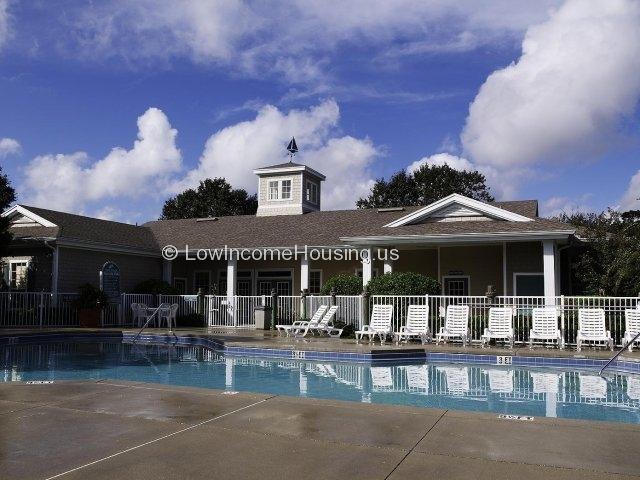 Large swimming pool with ample number of lounge chairs available for use by the residents.  