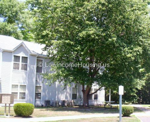 White Wooden Framing of multistory housing with large windows with Lush Foliage and street level parking