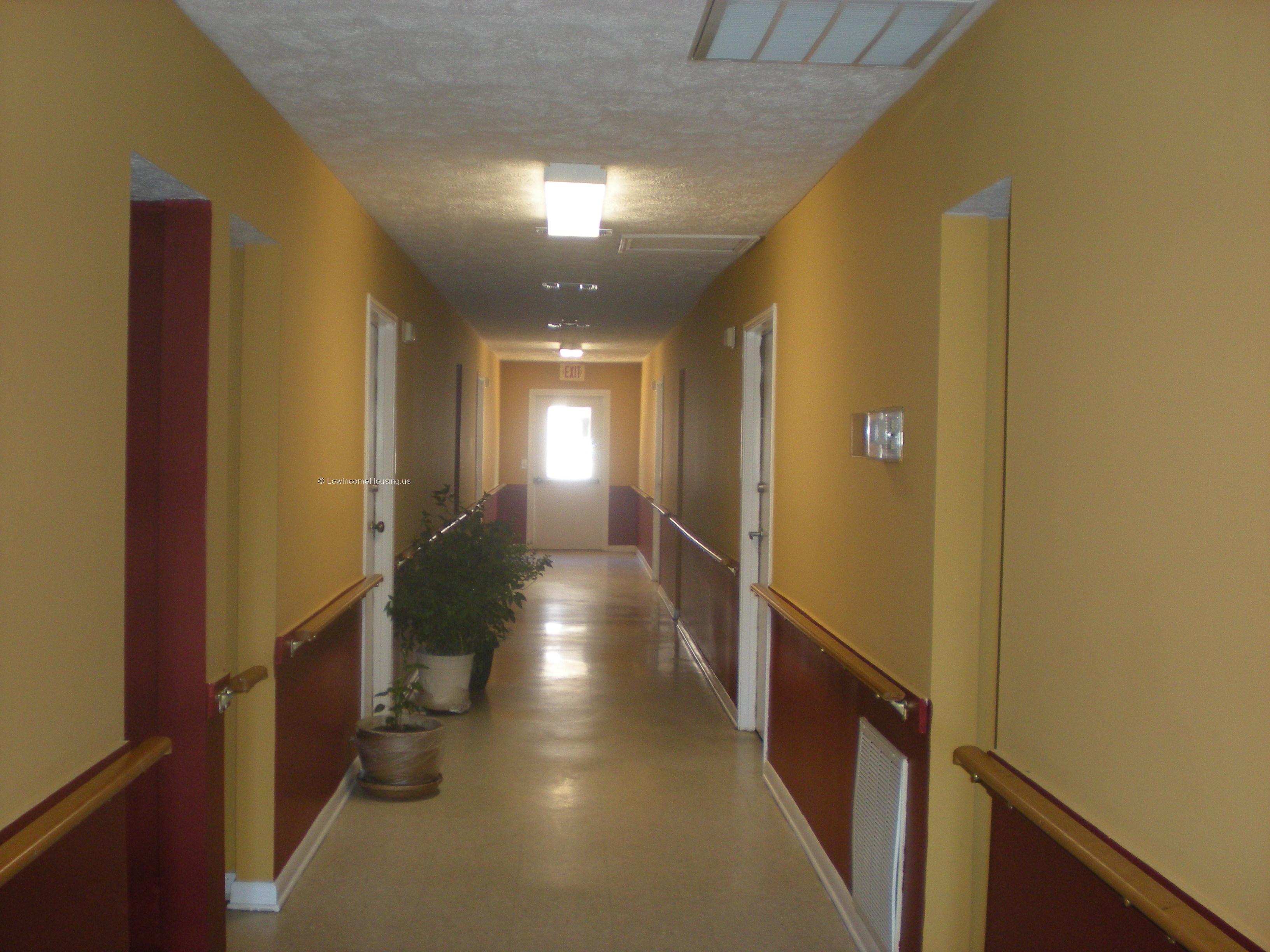 Interior hall way with potted foliage, ample sun light 