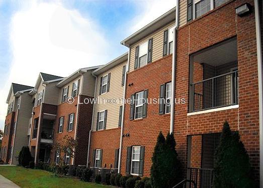 Classic view of red brick housing units equipped with floor to ceiling windows with shutters installed. 