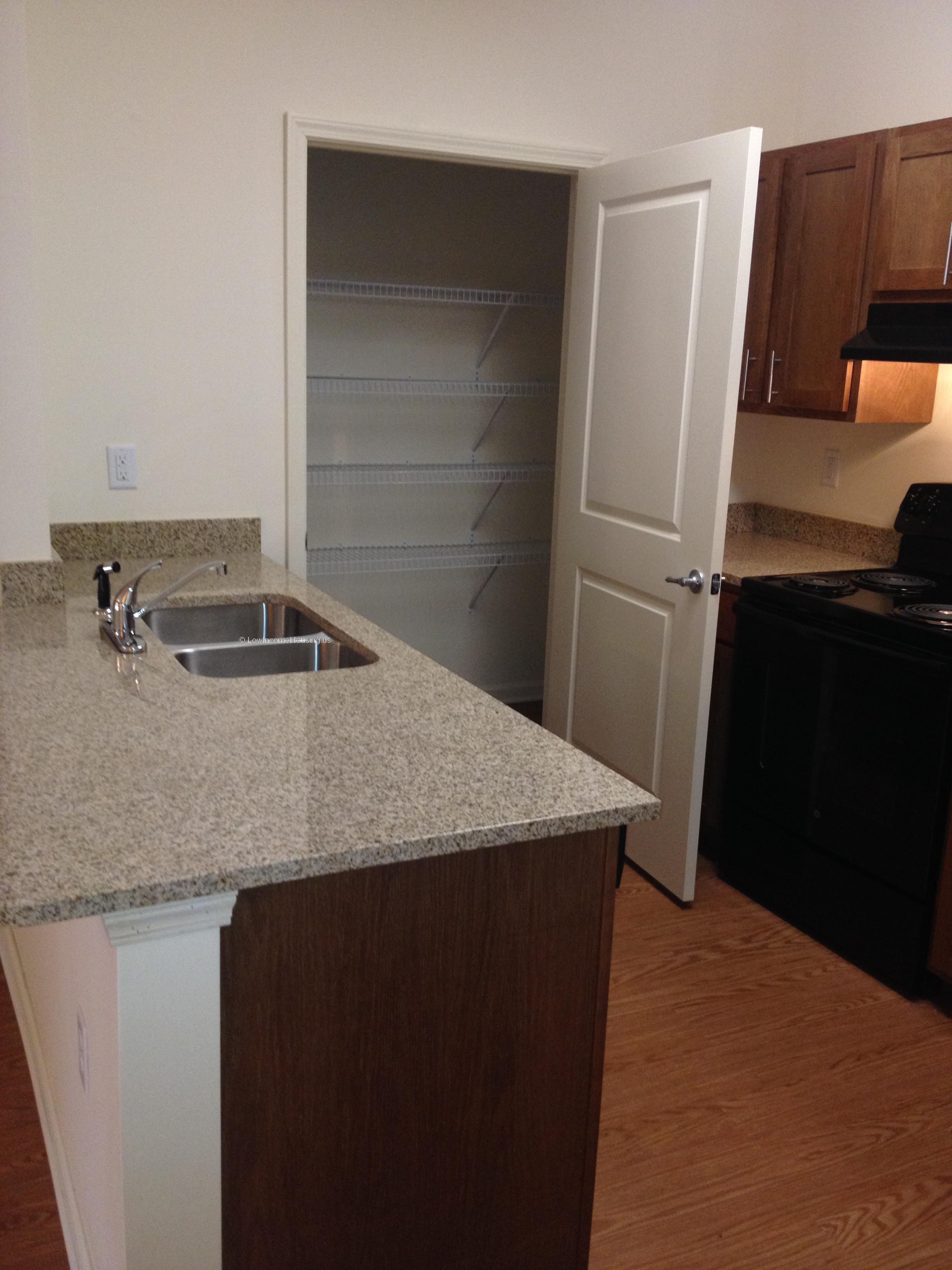 Counter top with twin sinks, storage cabinet with shelving installed   