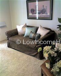 Photo graph of living area with tastefully appointed furniture and decorations.  