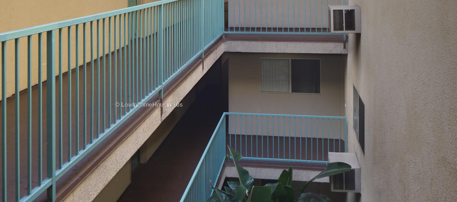 Third story view down stairwell to mature Blue Perennial Hibiscus plants