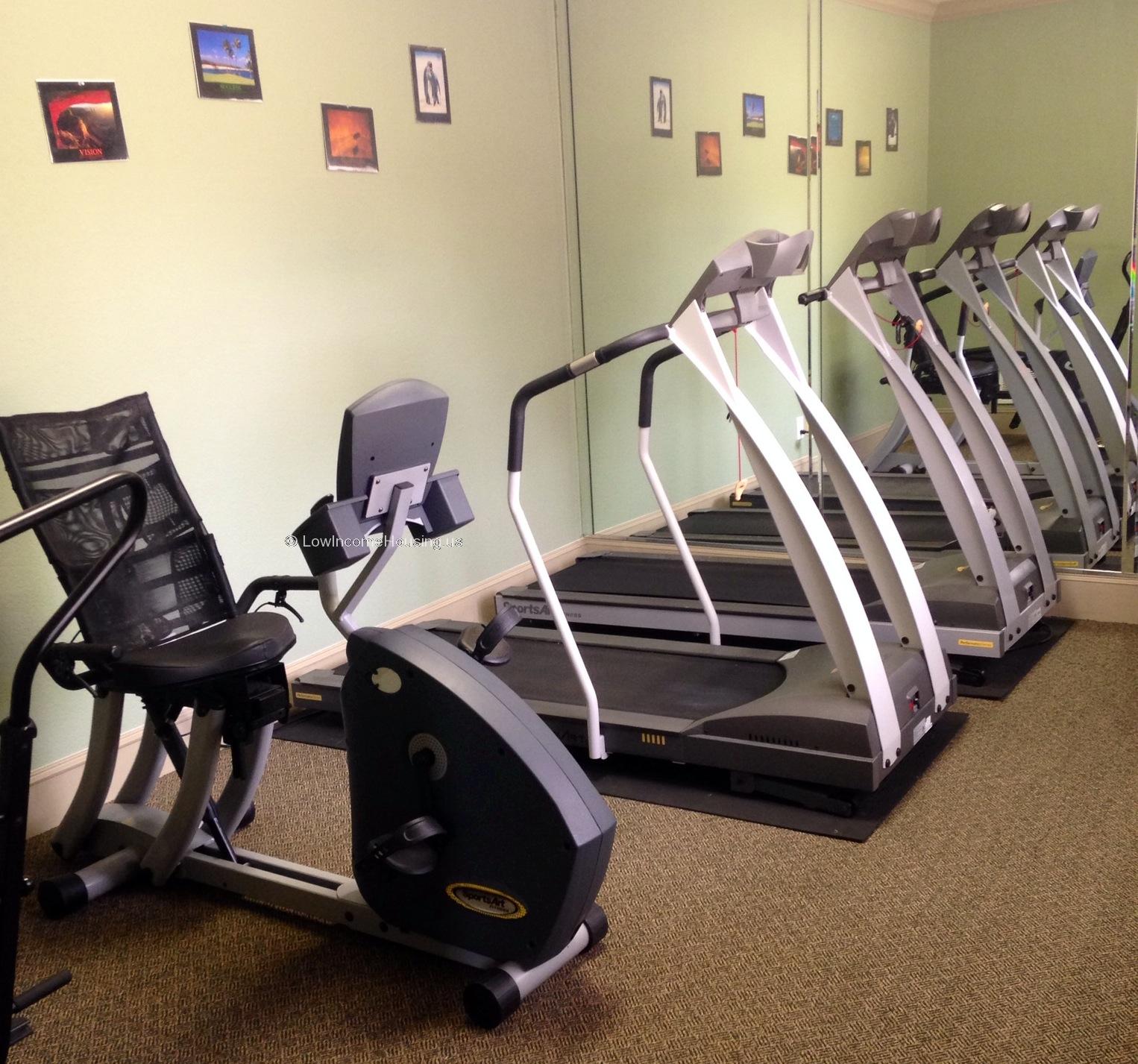 Fully equipped gymnasium with various stress and distance machines. 