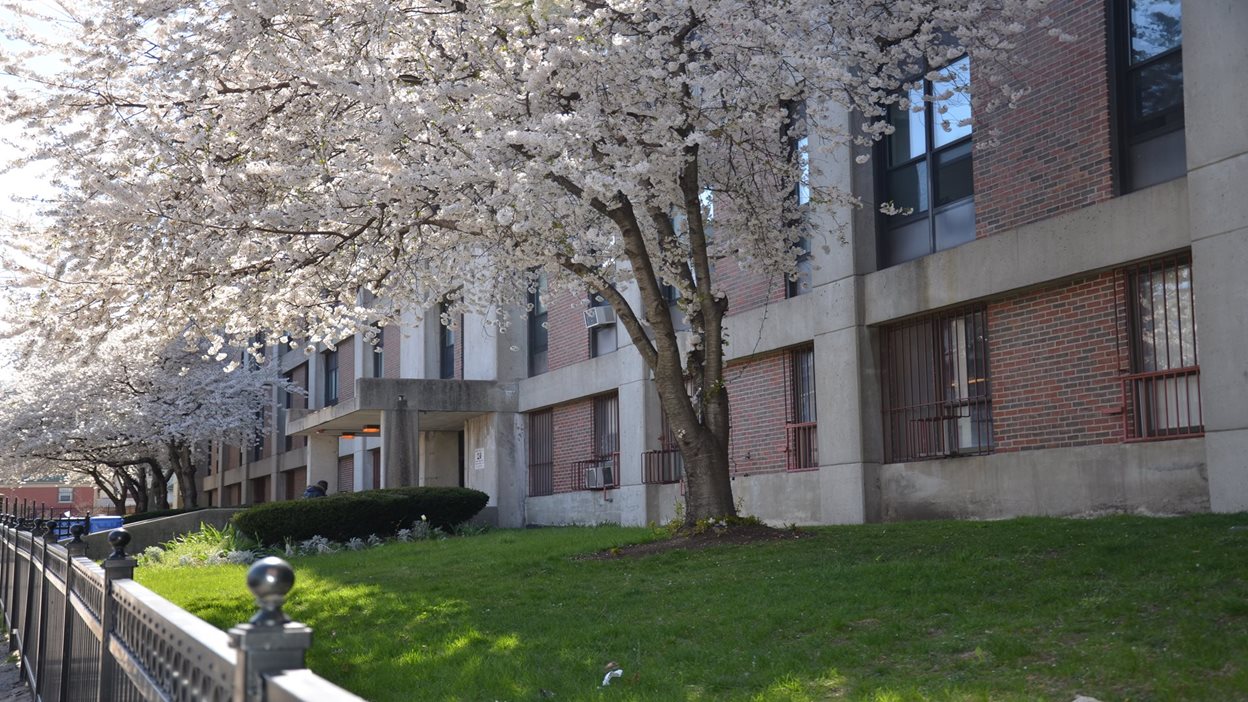 Amory Street Boston Low Rent Public Housing Senior Apartments