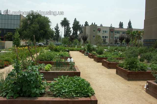 TELACU Monte Vista Senior Apartments