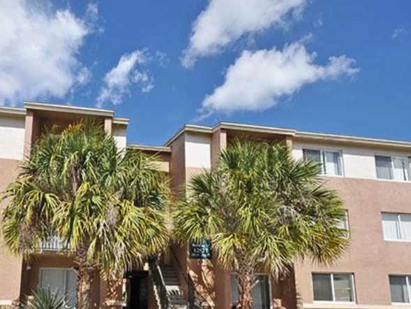 Oak Chase Apartments -  Affordable in Tampa