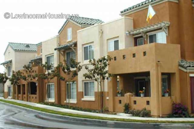 Laurel Tree Apartments