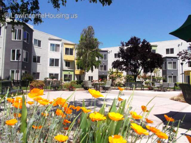 Cypress Gardens Apartments