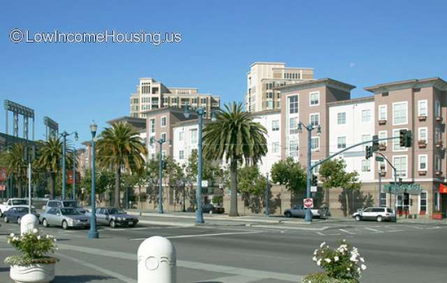 Steamboat Point Apartments