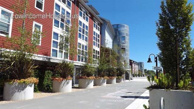 Tannery Artist Lofts Apartments