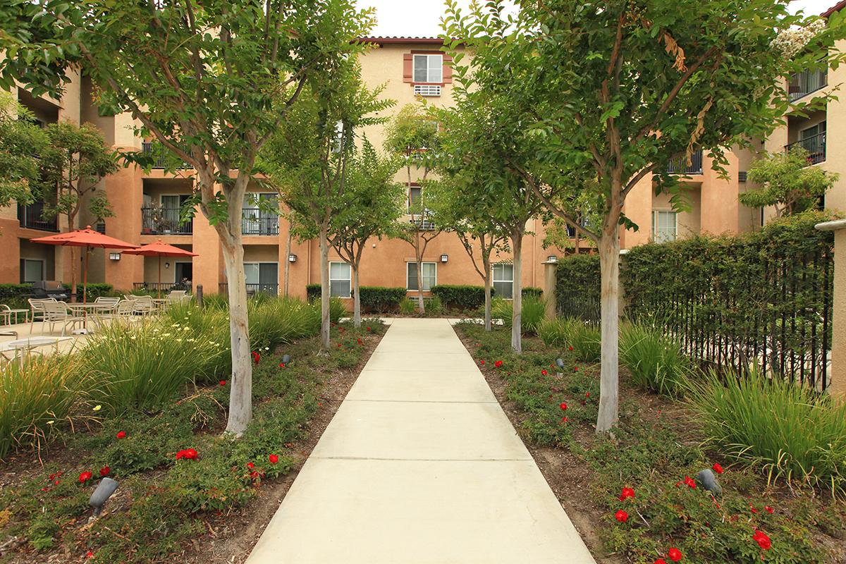 Sungrove Senior Apartments