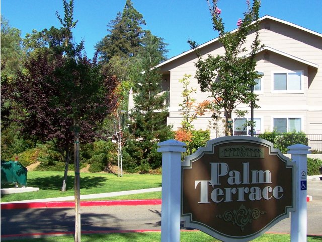 Palm Terrace Apartments