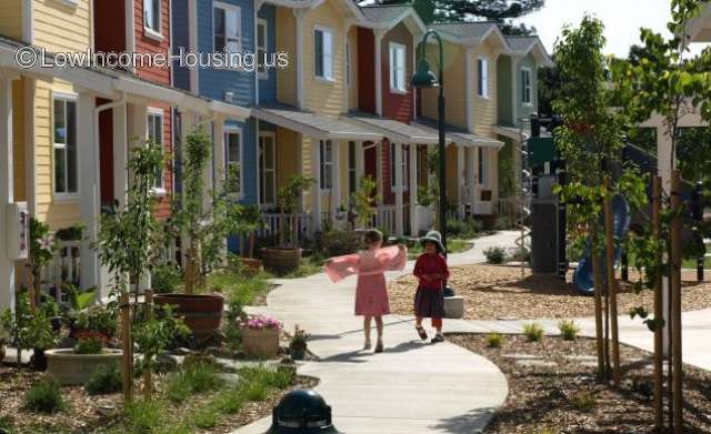 Petaluma Avenue Homes