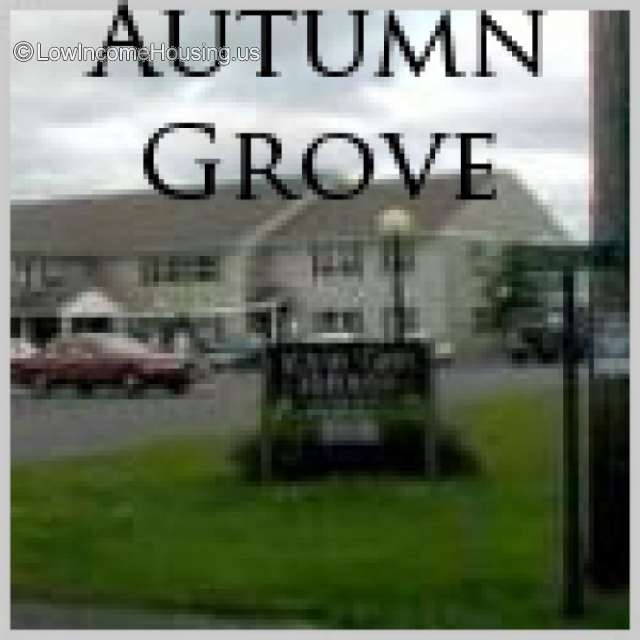 Autumn Grove Catskill