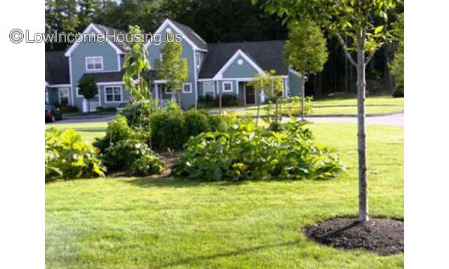 Davis Island Townhouses