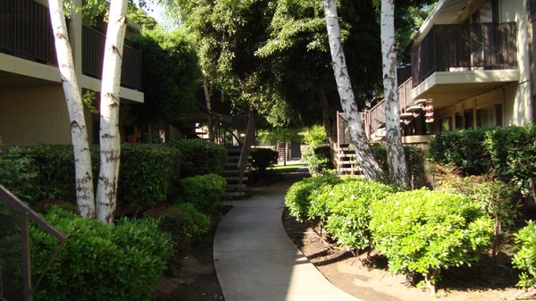 Almaden 1930 Apartments