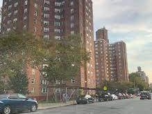 Trinity Ave Cluster Bronx