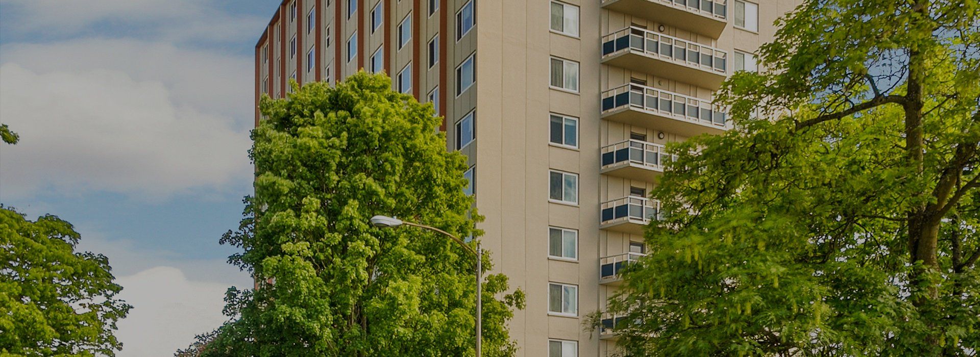 Very large housing complex with 70 apartments per floor and exposed balconies and ample foliage. 