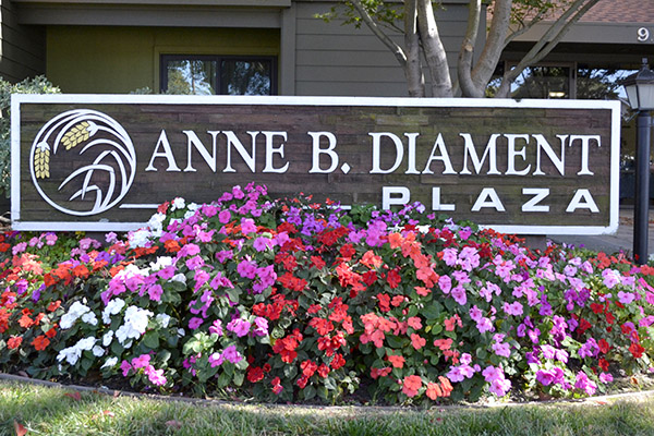 Anne B. Diament Plaza Senior Apartments 62+