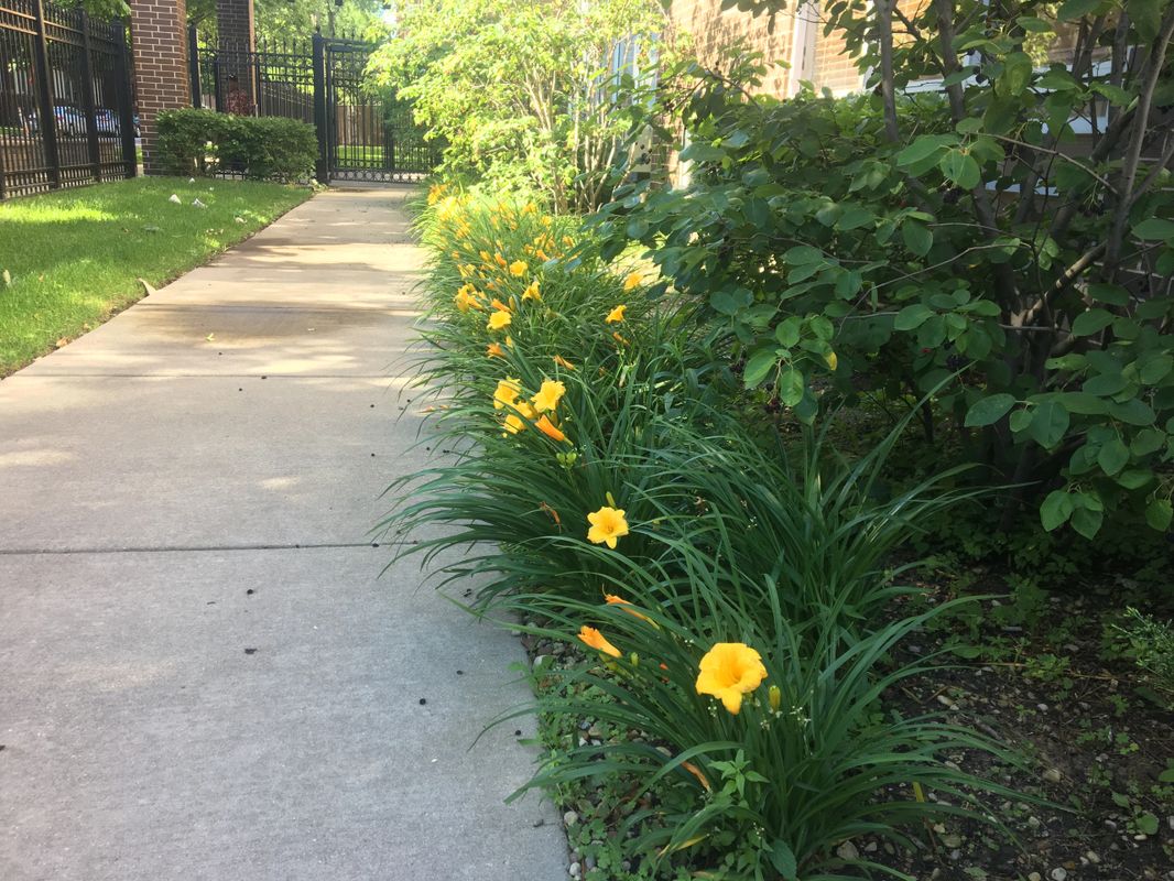 Good Shepherd Manor Affordable Apartments for Seniors