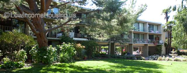 Palo Alto Senior Housing Project 