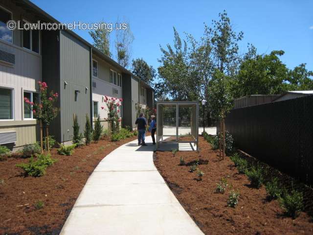 Clean, well kept garden area with local plants.  Sitting areas for quiet time reading.