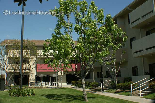 Telacu Manor Senior Apartments