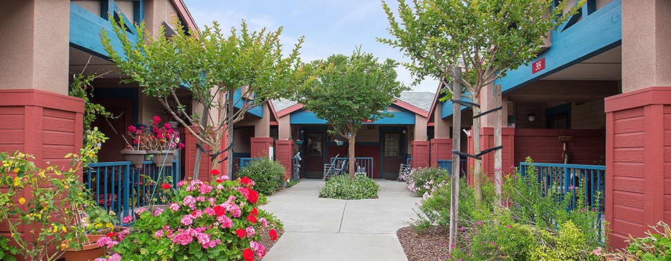 Arbor Vista Senior Apartments