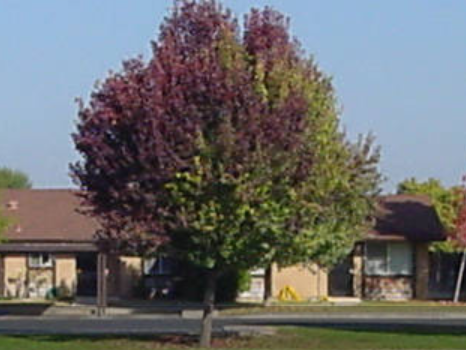 La Serena Apartments