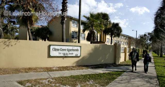 Citrus Grove Apartments