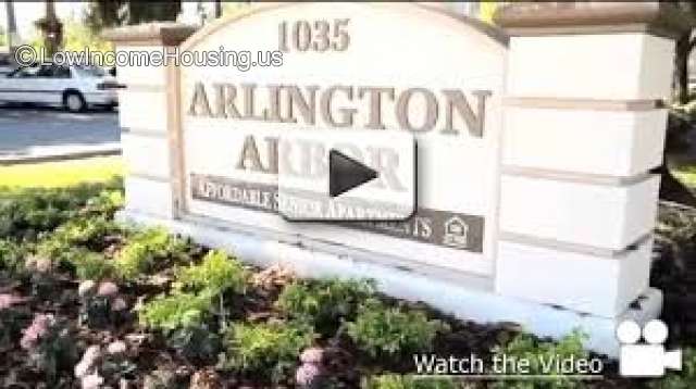 Arlington Arbor