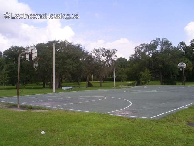 Basketball court