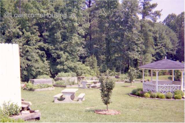 External Picnic area used for large gatherings