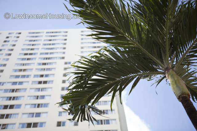 Large white apartment building with full glass window units and mature palm trees with ample foliage.  