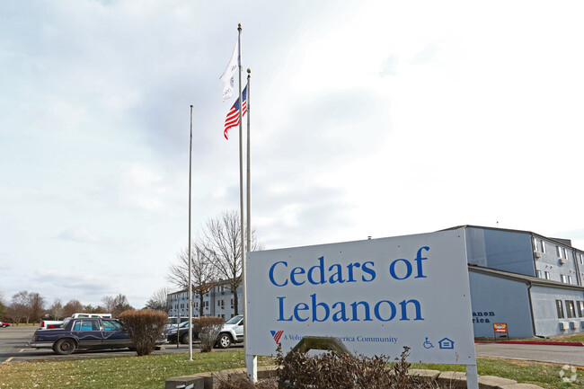Cedars Of Lebanon