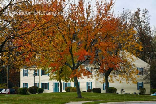 Large, two story, white clapboard structure with seven green shutters installed.  Beautiful mature brilliant red foliage in brilliant red on display. 