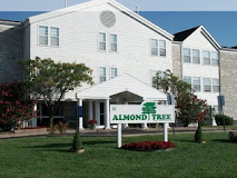 Almond Tree Apartments