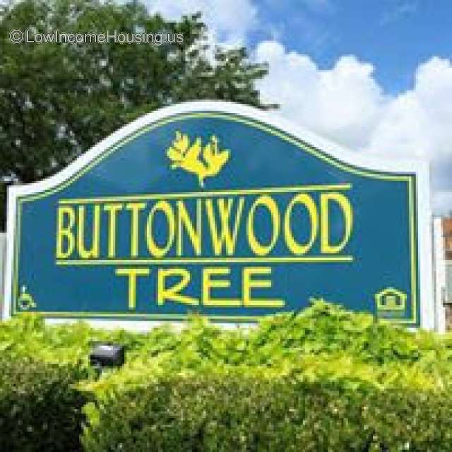 Buttonwood Tree Apartments