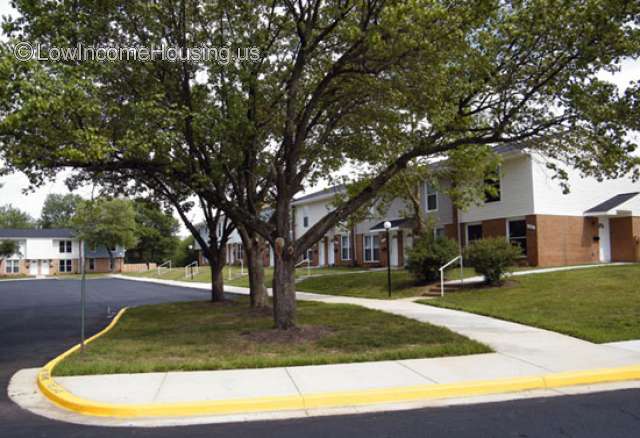 Heavy Foliage on Corner