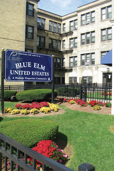 Blue Elm Hill