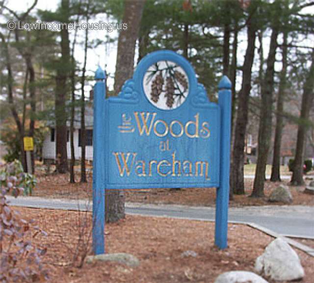 Woods At Wareham