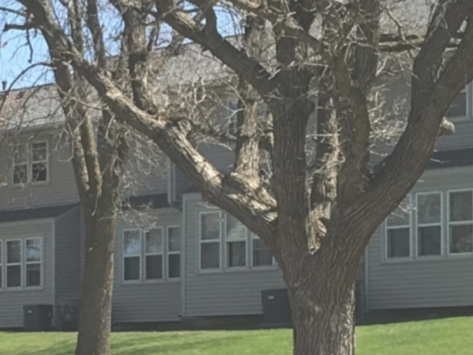 Osakis, MN Low Housing