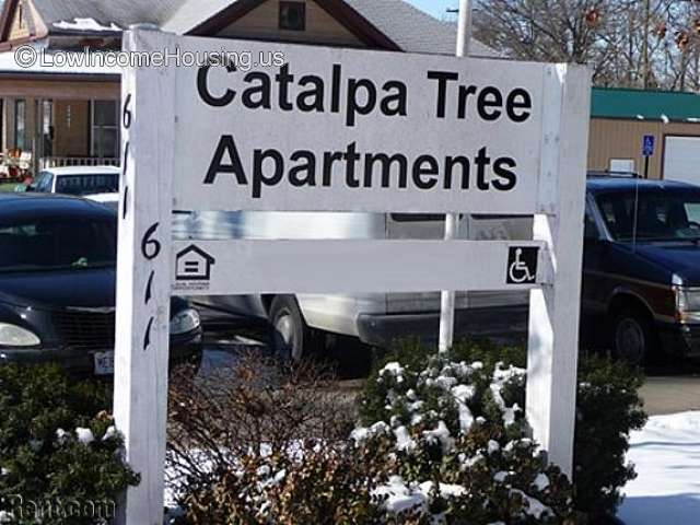 Catalpa Tree Apartments 611