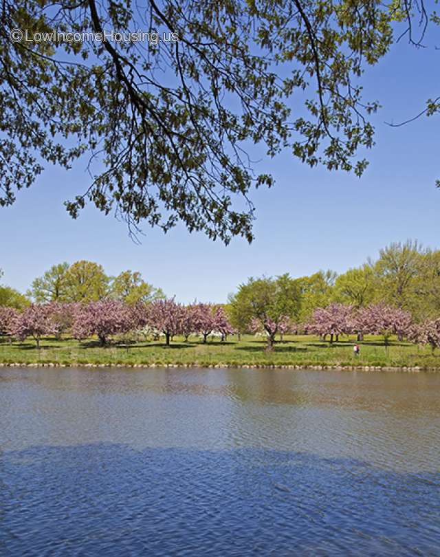 Roselle, NJ Low Housing