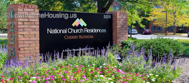 Cherry Blossom Apartments