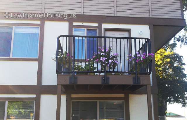 Outdoor picture of a second story balcony with some flowers. 