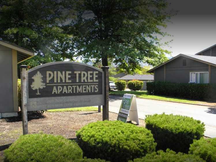 Pine Tree Apartments