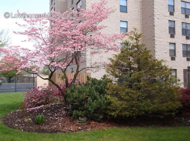 Williamsport Housing Elderly Apartments