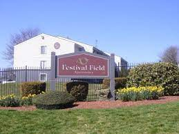 Festival Field